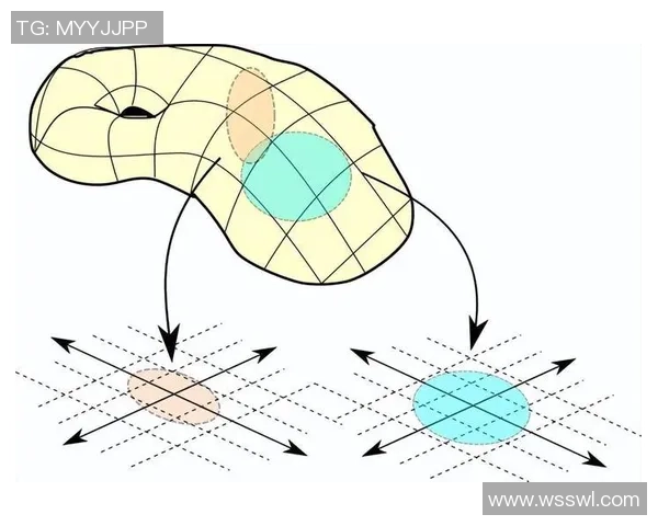 足球球星几何图解析:探讨球员在场上位置与战术关系的几何维度 足球球星几何图解析:探讨球员在场上位置与战术关系的几何维度